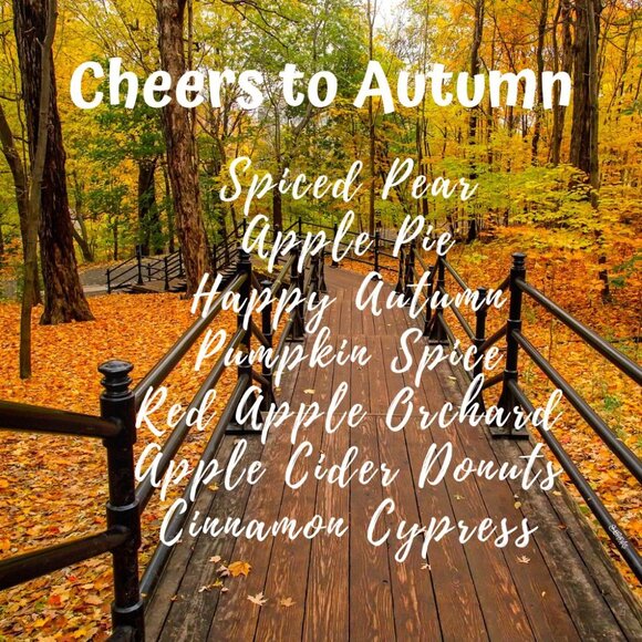 Aromatherapy Oil Diffuser Oil Home Fragrance Oil CHEERS To AUTUMN Bundle - Picture 1 of 10